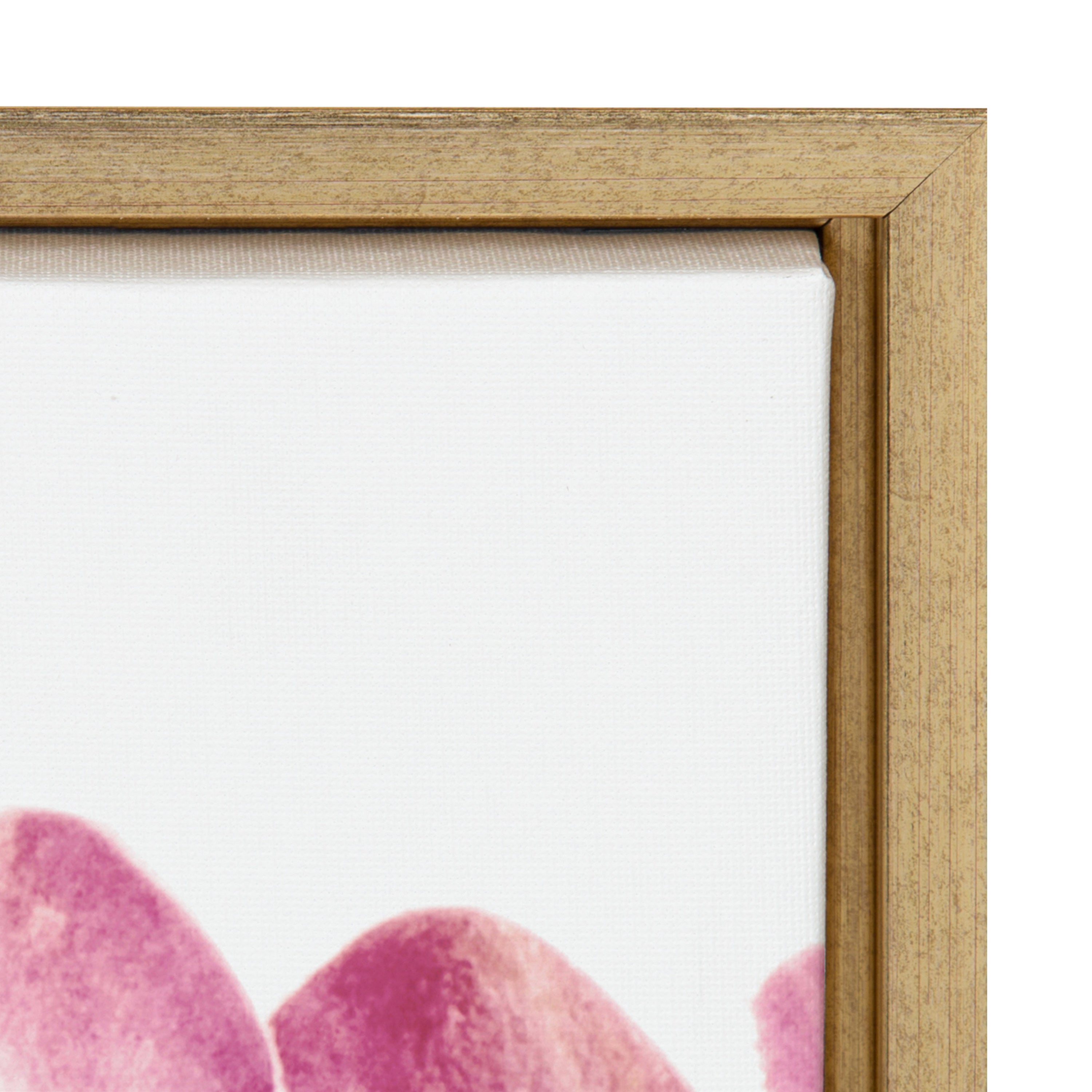 Sylvie Pink Protea Flower Framed Canvas by Amy Peterson