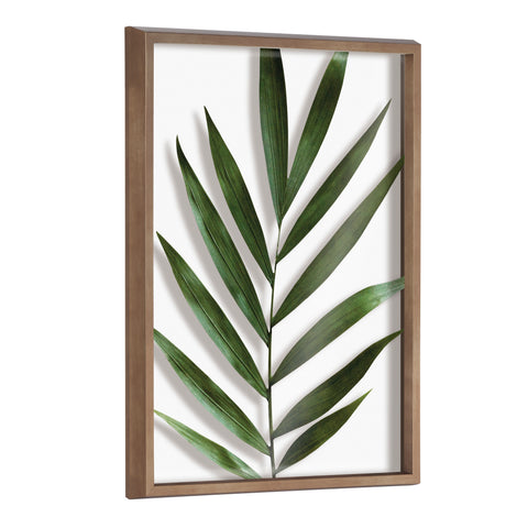 Blake Botanical 5F Framed Printed Glass by Amy Peterson