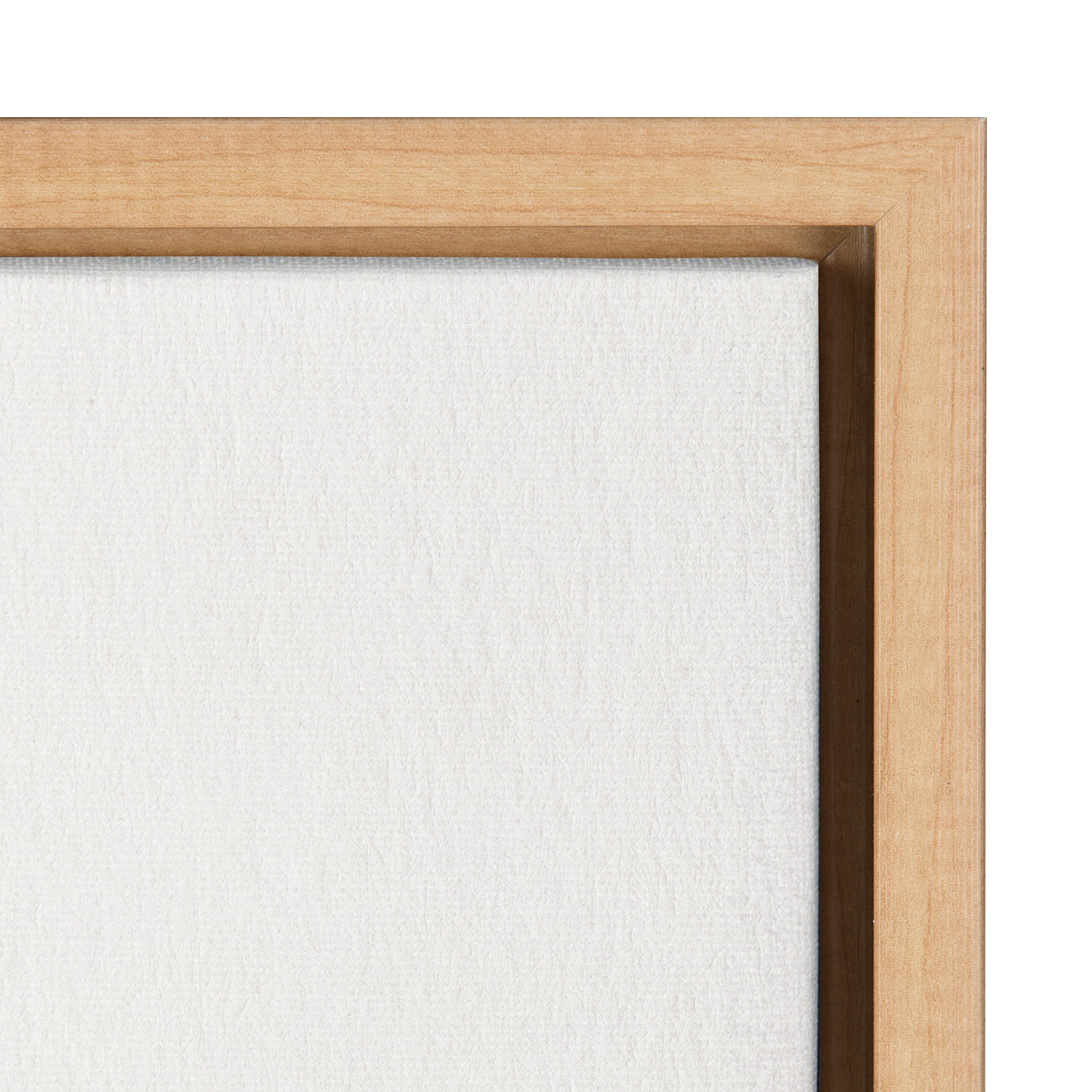 Sylvie Ruscus Framed Canvas by Patricia Shaw