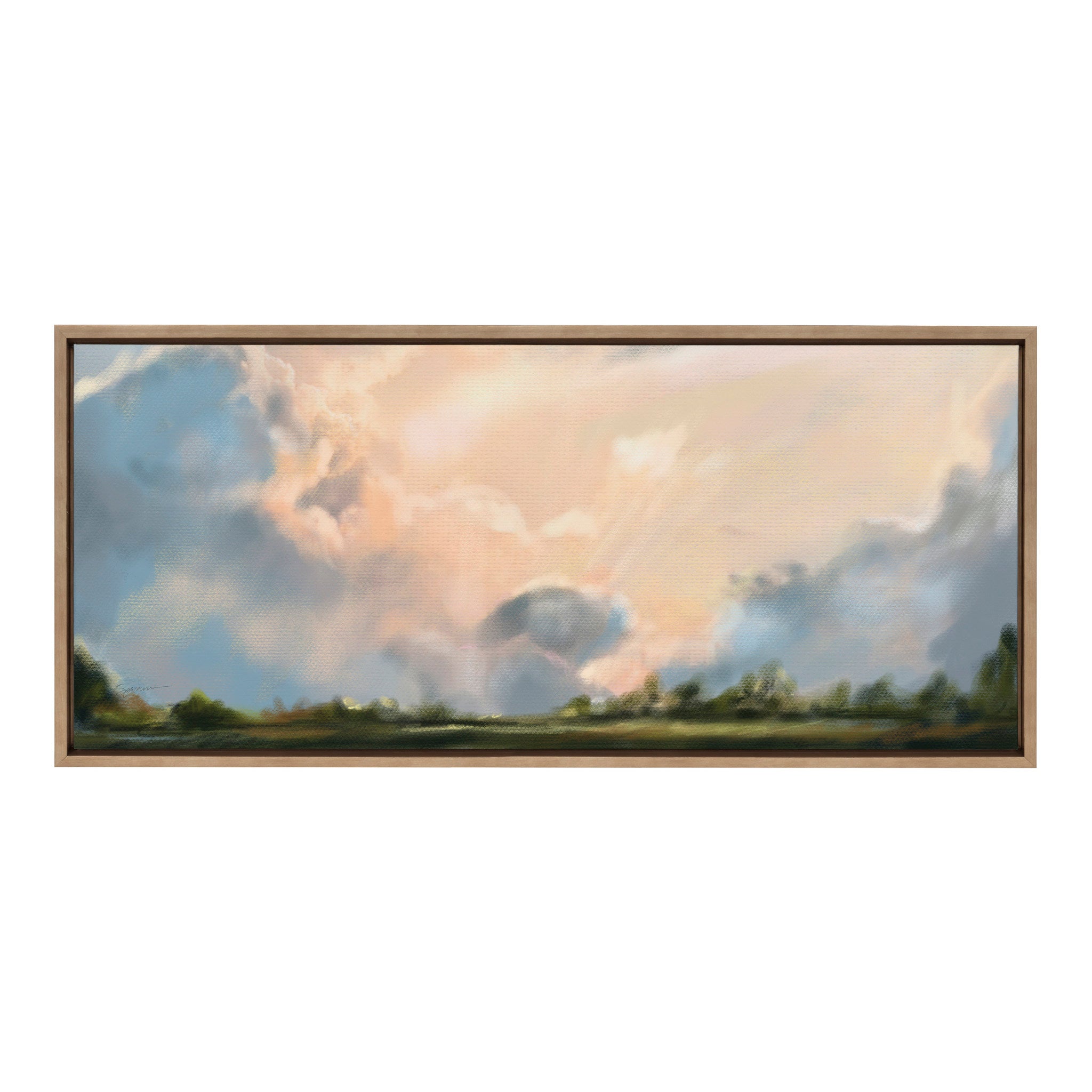 Sylvie Clouds Framed Canvas by Mary Sparrow