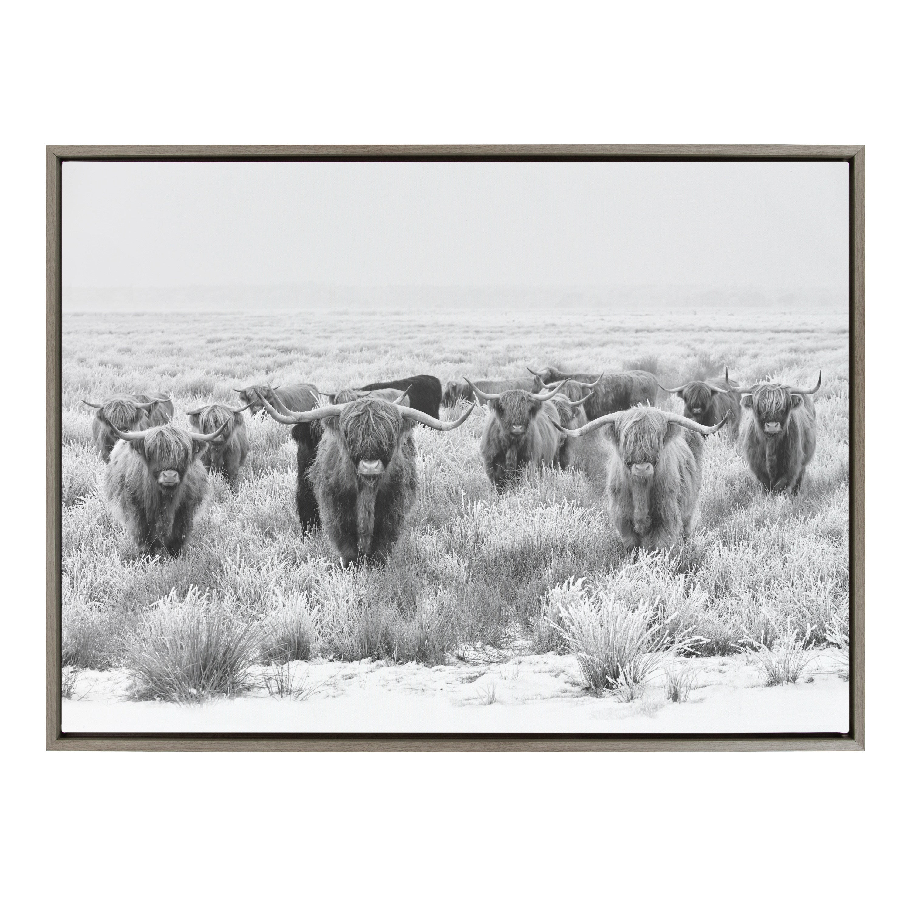 Sylvie Herd of Highland Cows Black and White Framed Canvas by The Creative Bunch Studio