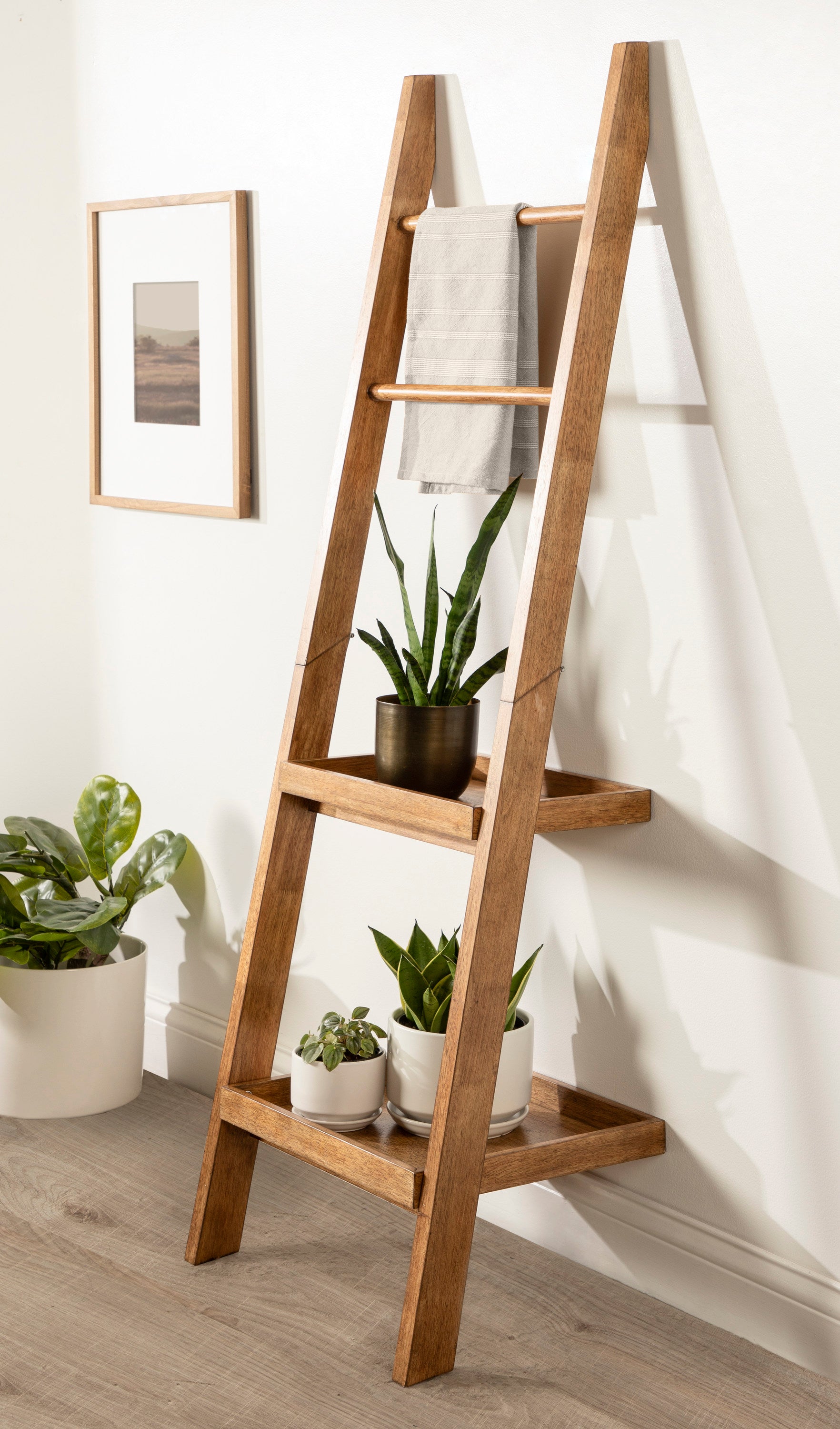 Lowry Wood Ladder Shelf