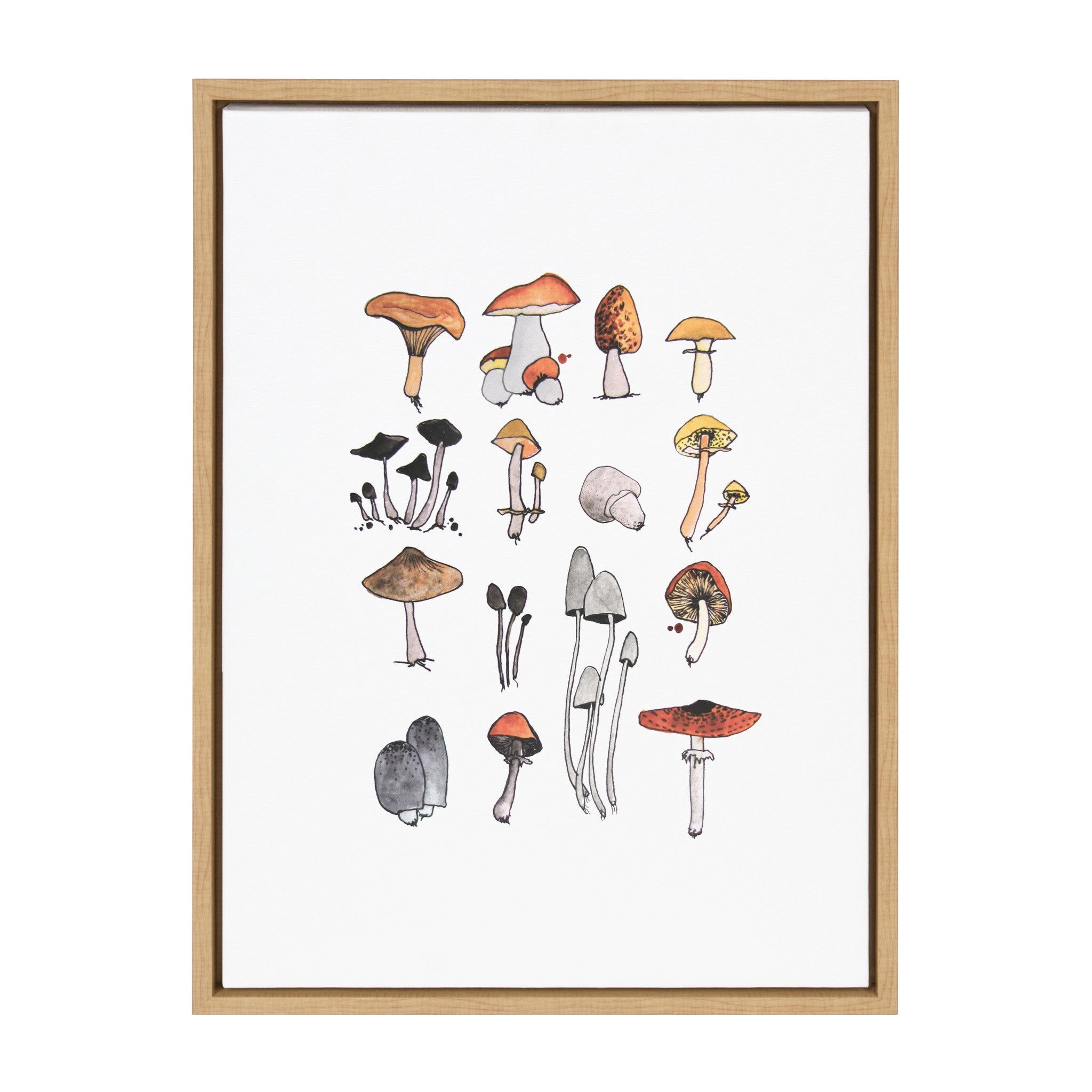 Sylvie Group of Mushrooms Framed Canvas by Viola Kreczmer