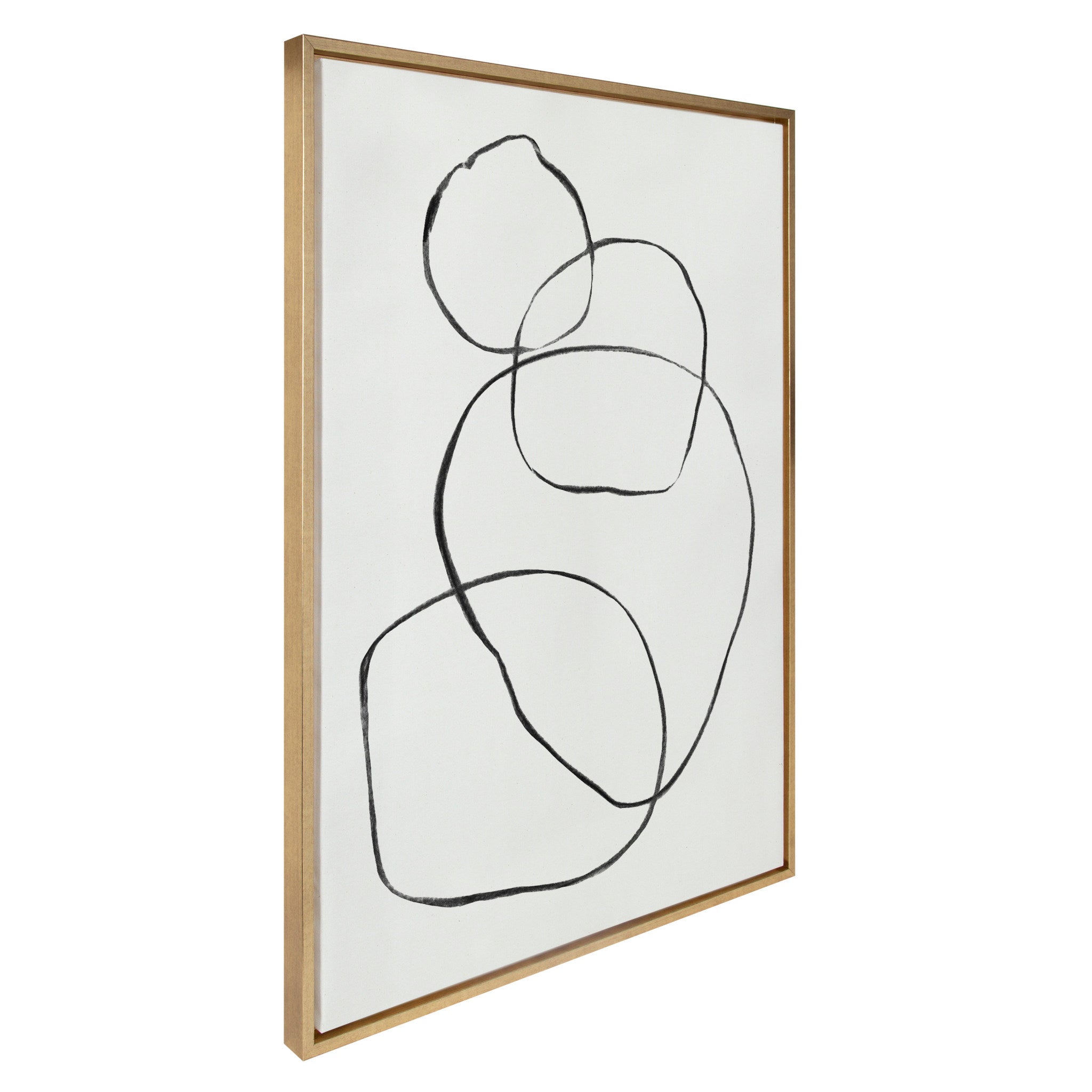 Sylvie 869 Going in Circles Framed Canvas by Teju Reval of SnazzyHues