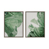 Sylvie Plant Study 6 and Plant Study 7 Framed Canvas Set by Alicia Abla