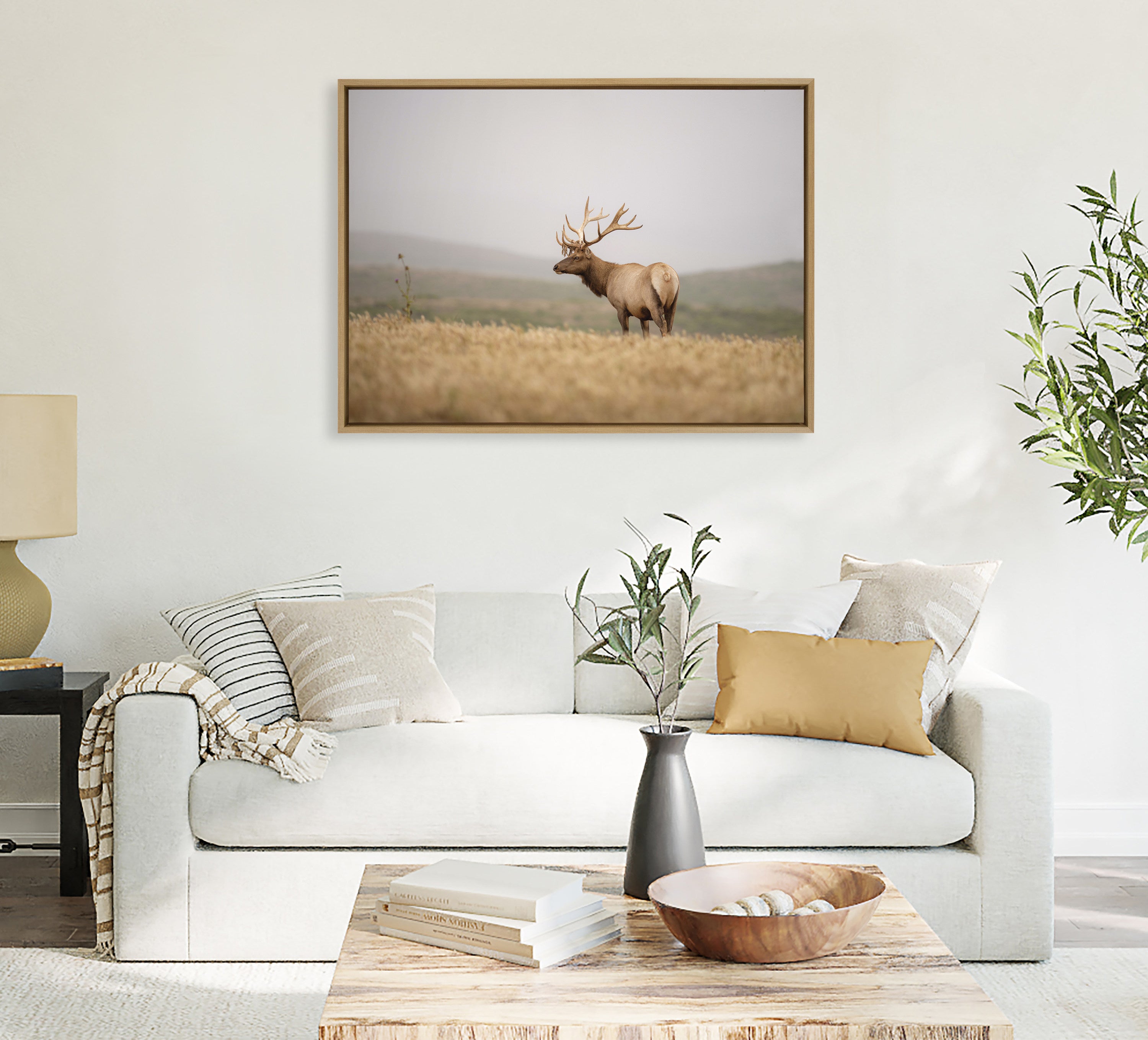 Sylvie Tule Elk No 3 Framed Canvas by Crystal Lynn Collins