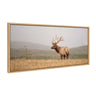Sylvie Tule Elk No 3 Framed Canvas by Crystal Lynn Collins