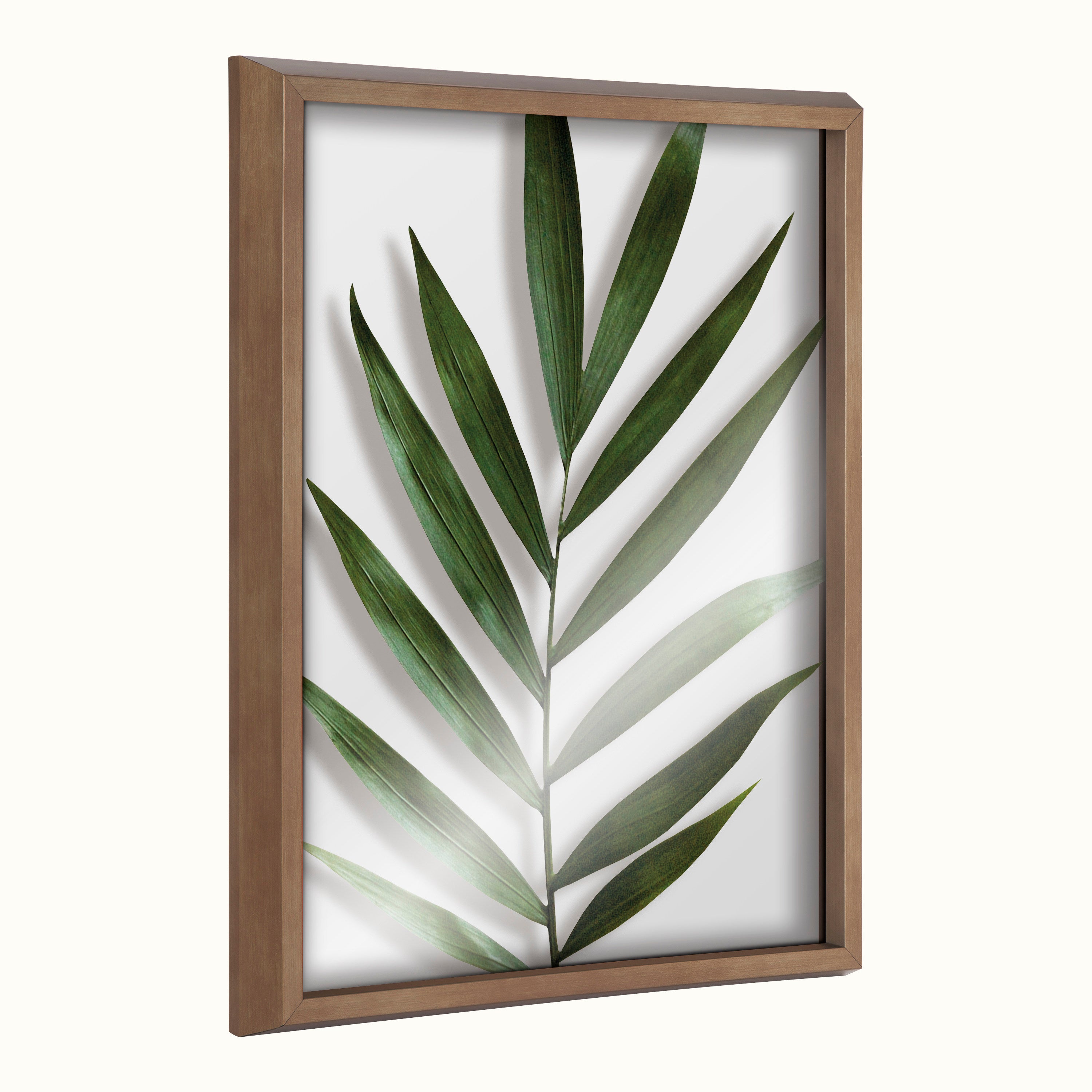 Blake Botanical 5F Framed Printed Glass by Amy Peterson