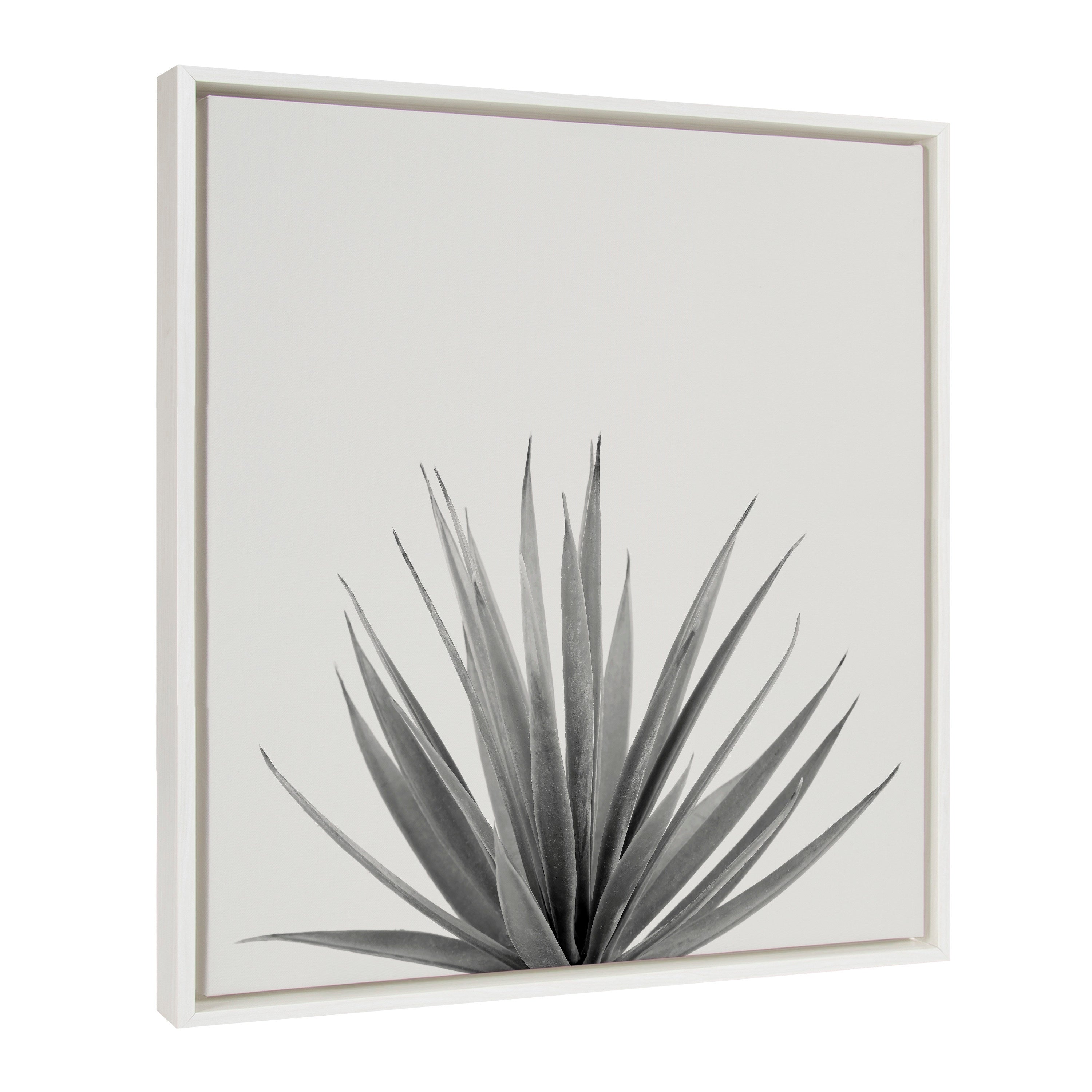 Sylvie Haze Agave Succulent Framed Canvas by The Creative Bunch Studio