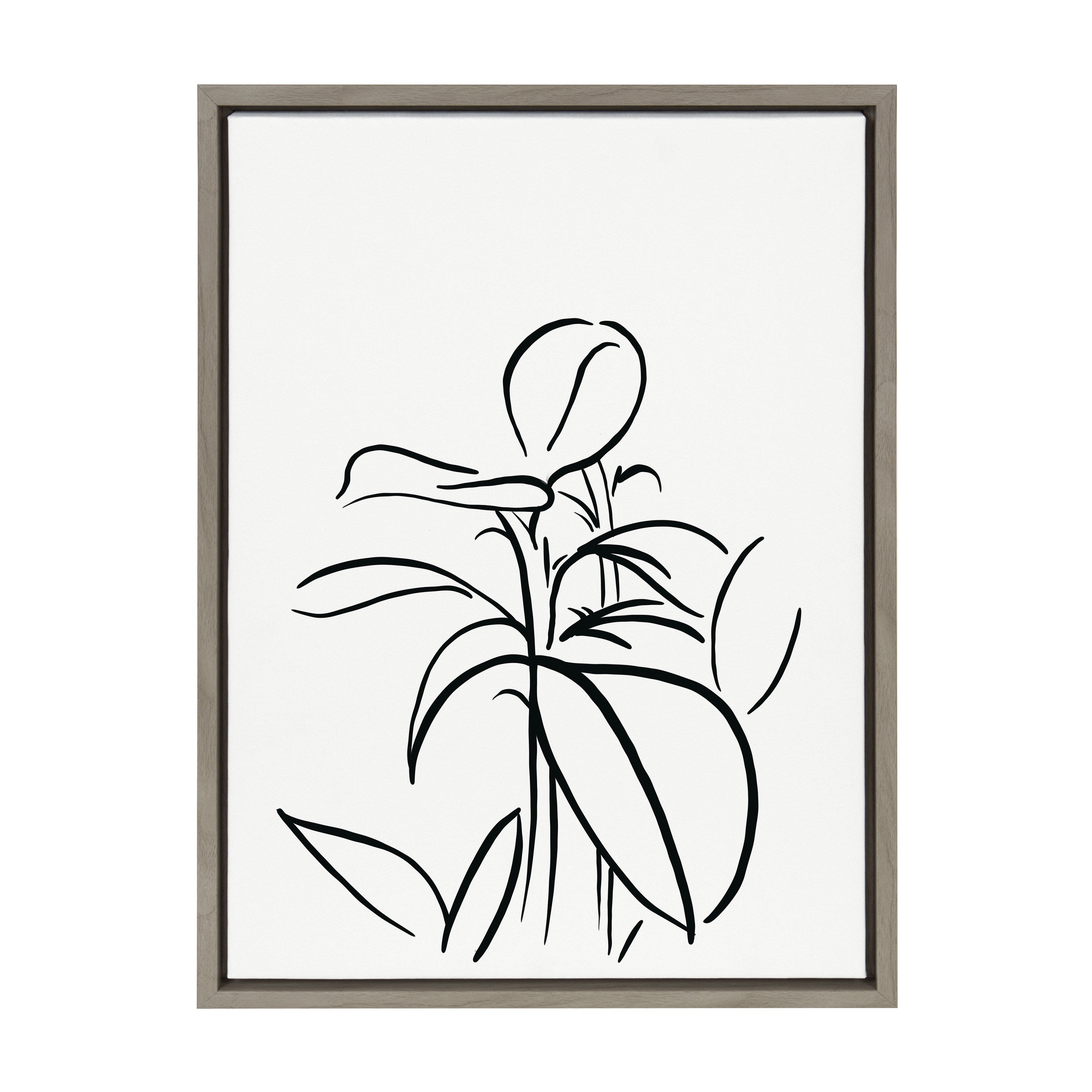 Sylvie Botanical Sketch Print No 1 Framed Canvas by The Creative Bunch Studio