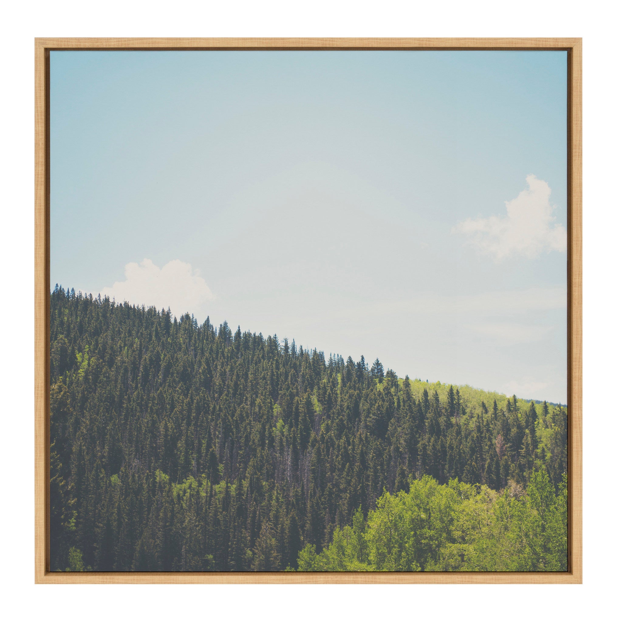 Sylvie Above the Tree Line Framed Canvas by Laura Evans