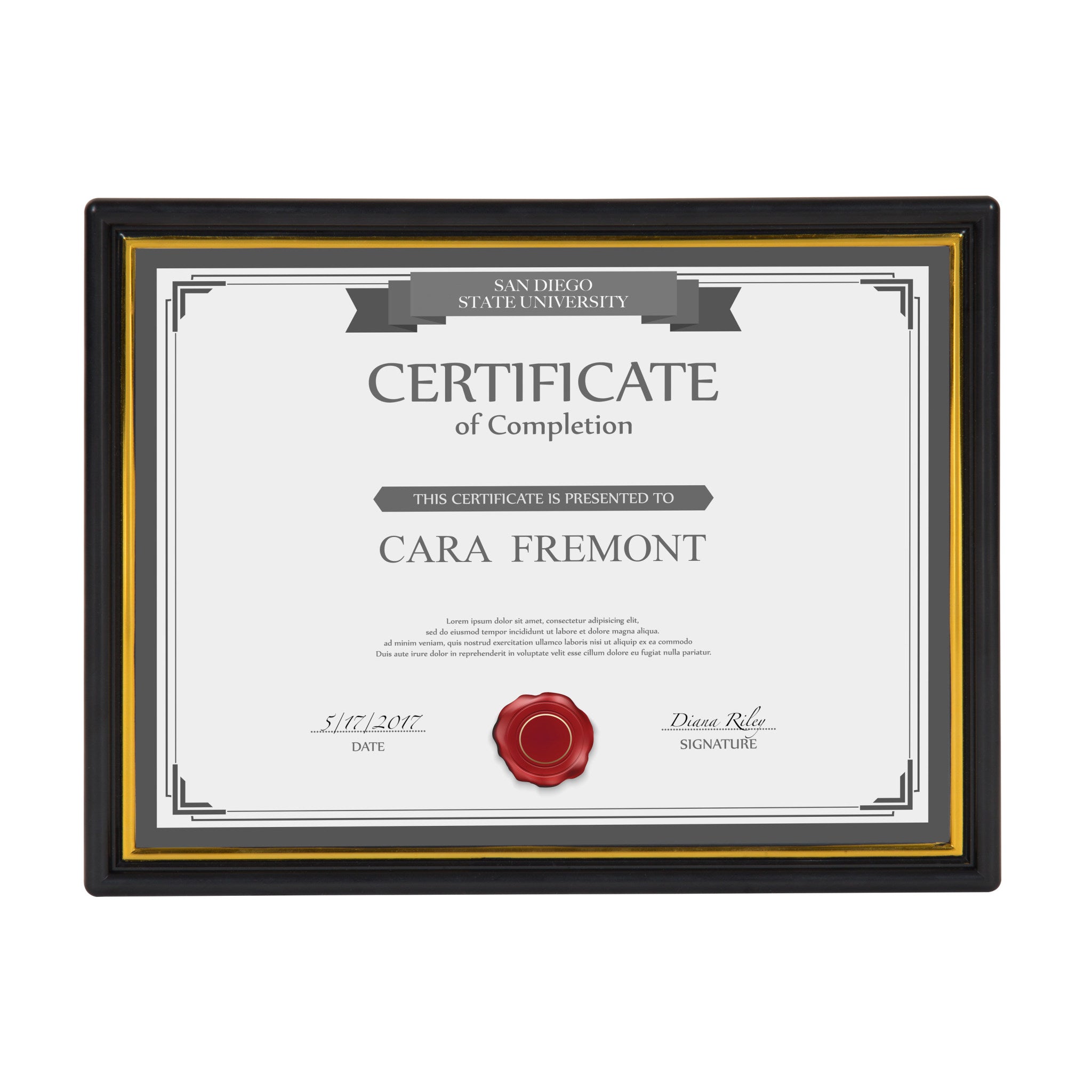 Corporate 8.5x11 Document Picture Frame, Set of 12