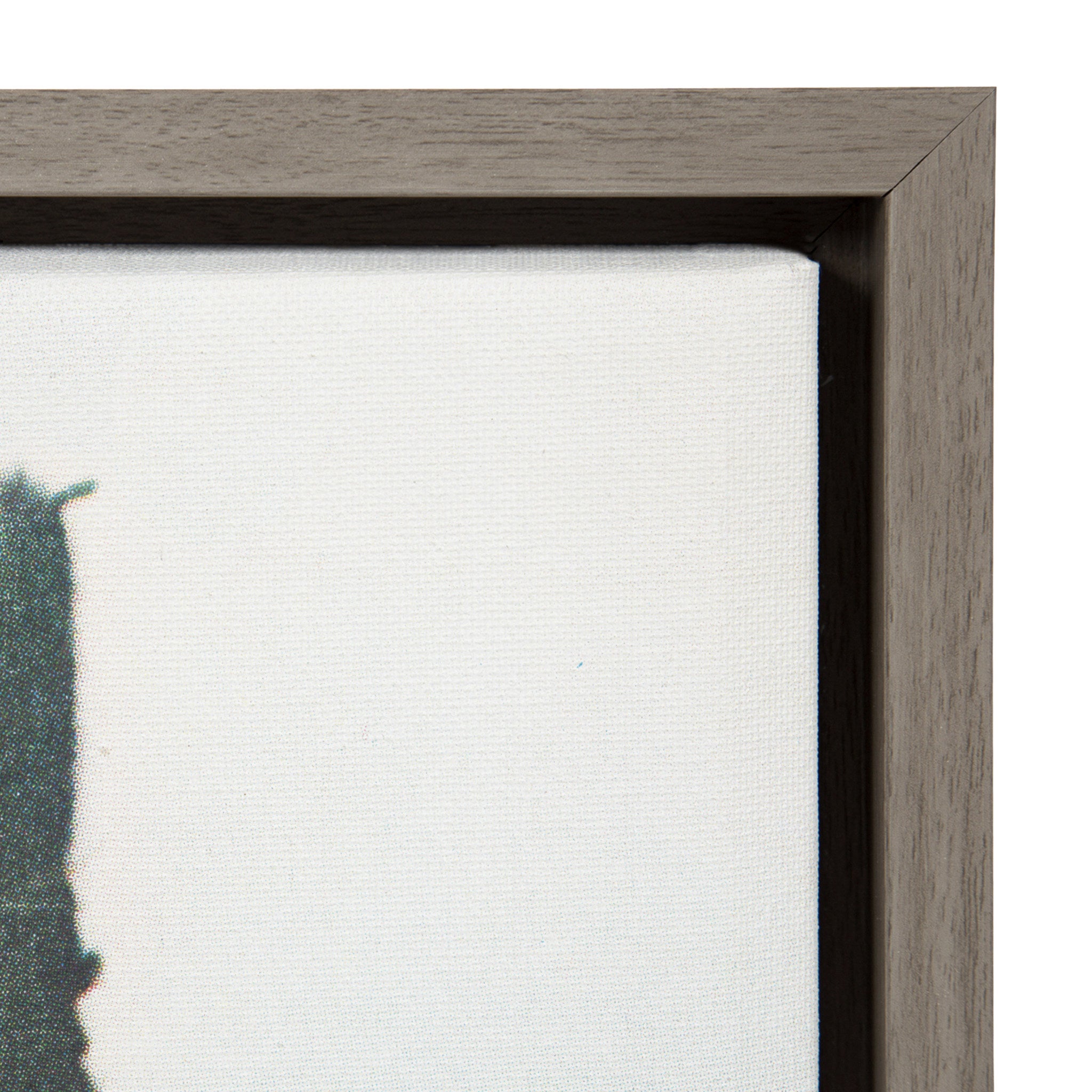 Sylvie Décor Framed Canvas by Sarah Eisenlohr