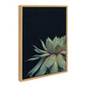 Sylvie Succulent Framed Canvas by F2 Images