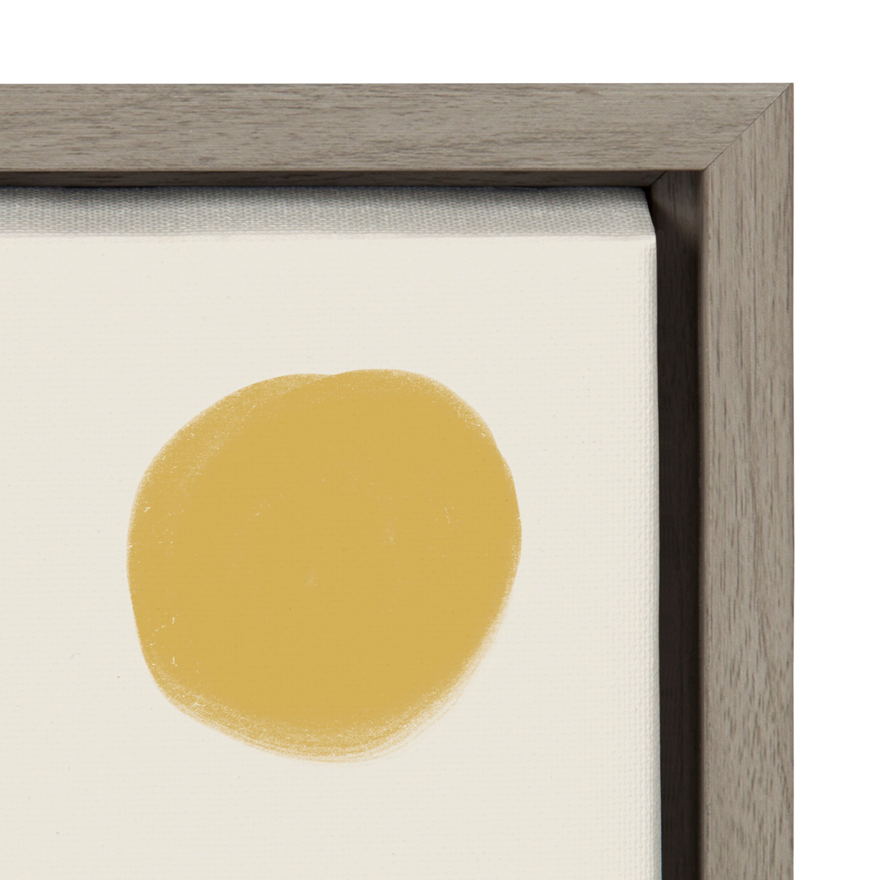 Sylvie Zen Garden 2 Framed Canvas by Kelly Knaga