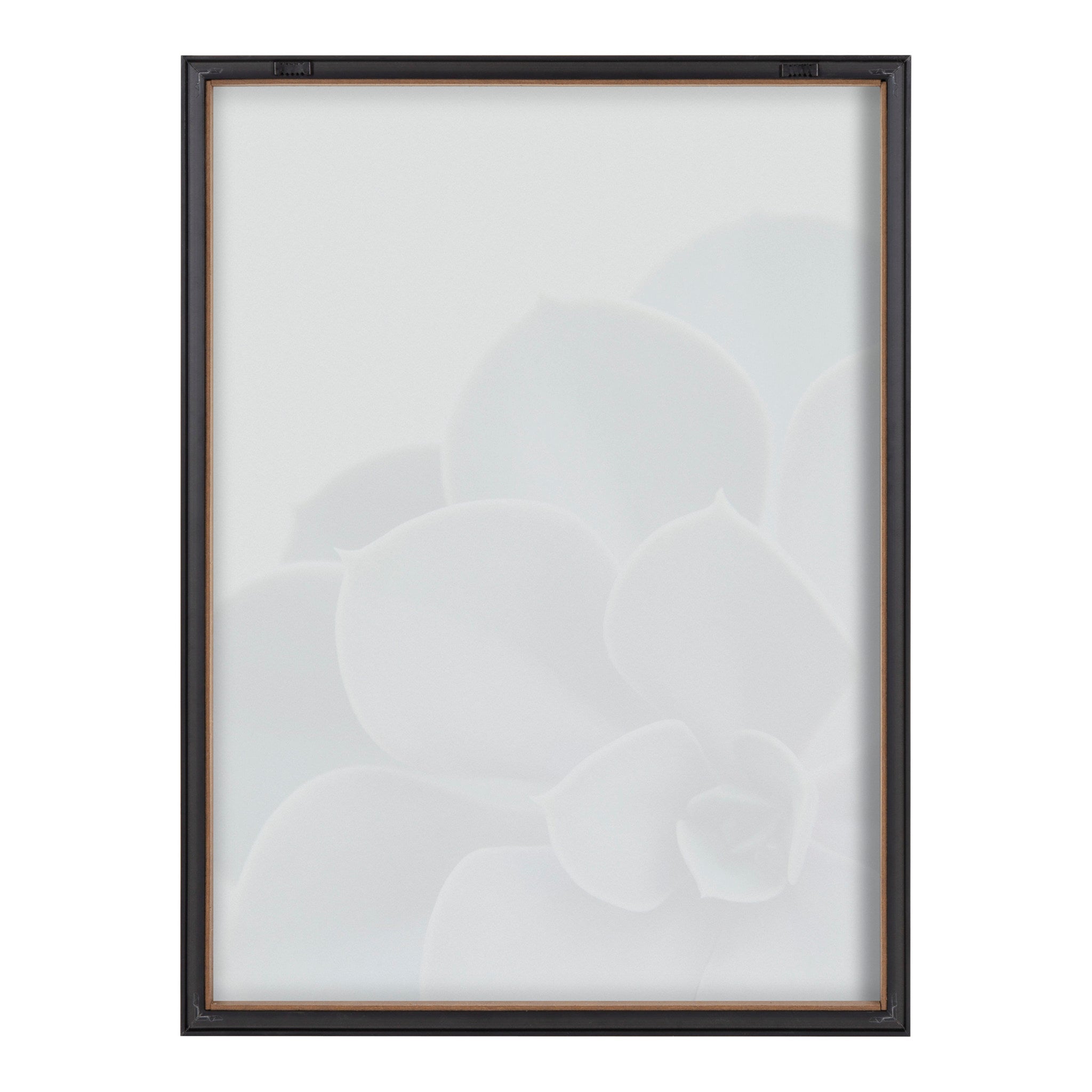 Blake Succulent 5 Framed Printed Glass by Emiko and Mark Franzen of F2Images
