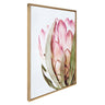 Sylvie Pink Protea Flower Framed Canvas by Amy Peterson