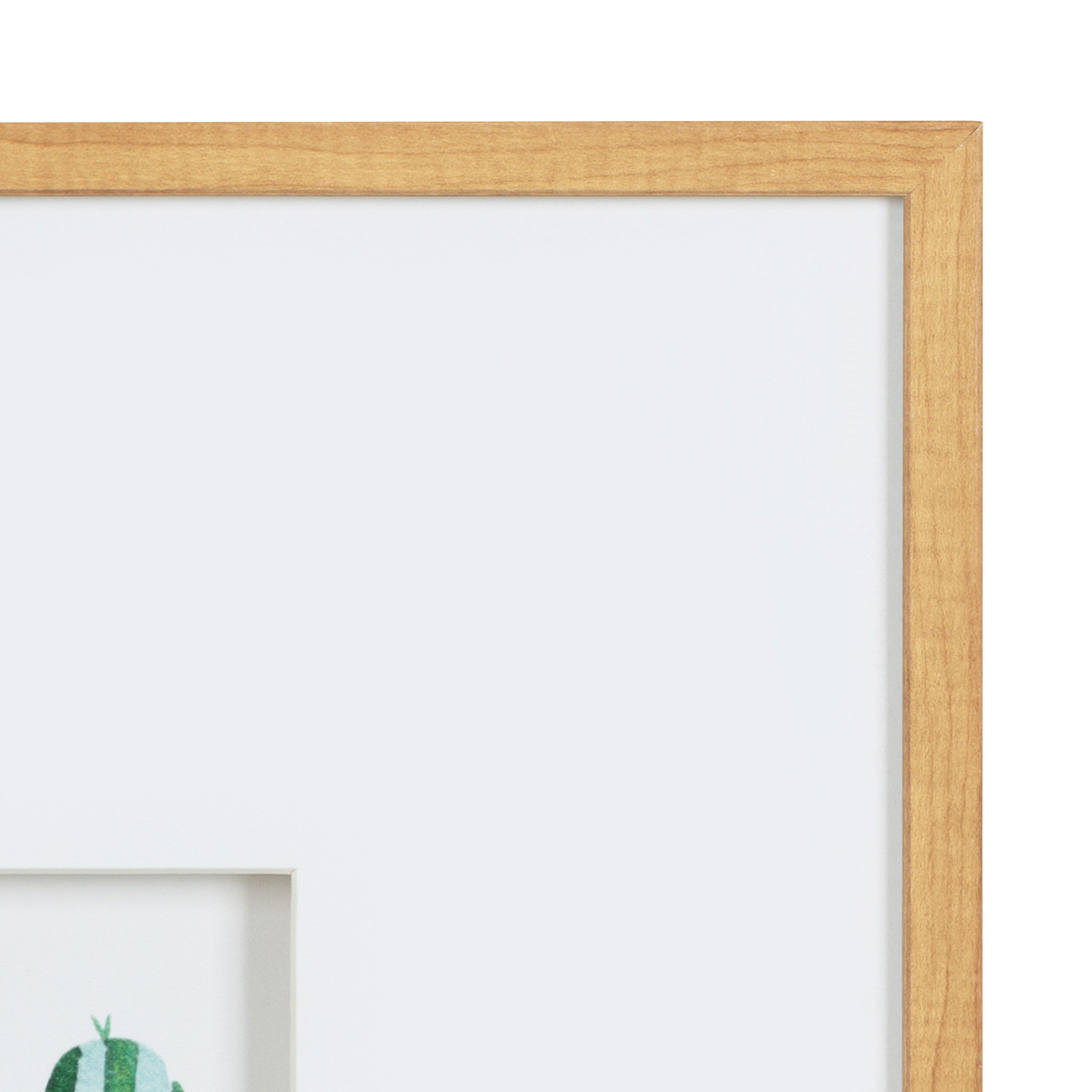 Liev Succulent Framed Print Art Set by Maja Mitrovic