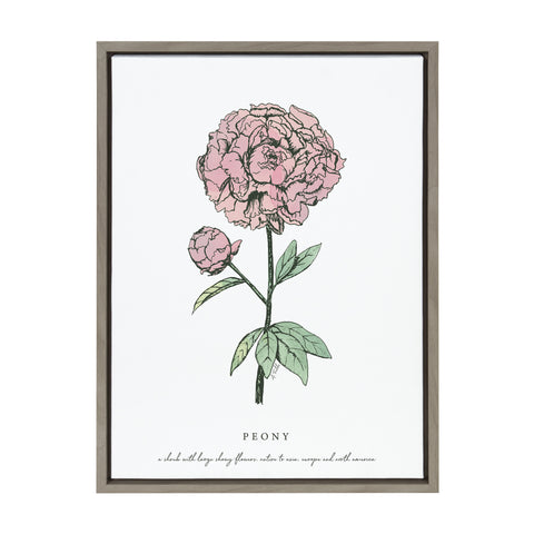 Sylvie Garden Peony Framed Canvas by Statement Goods