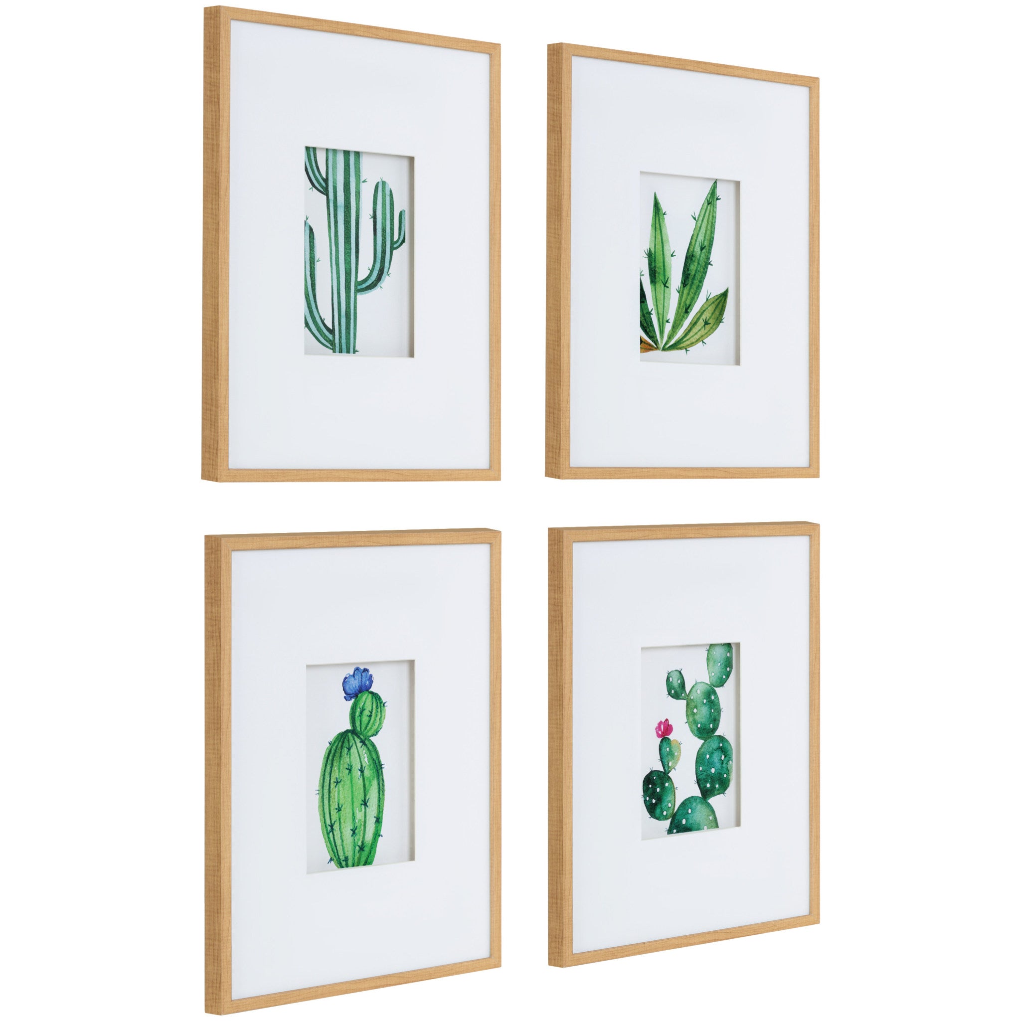 Liev Succulent Framed Print Art Set by Maja Mitrovic