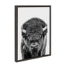 Sylvie Bison Portrait Black and White Framed Canvas by Amy Peterson Art Studio