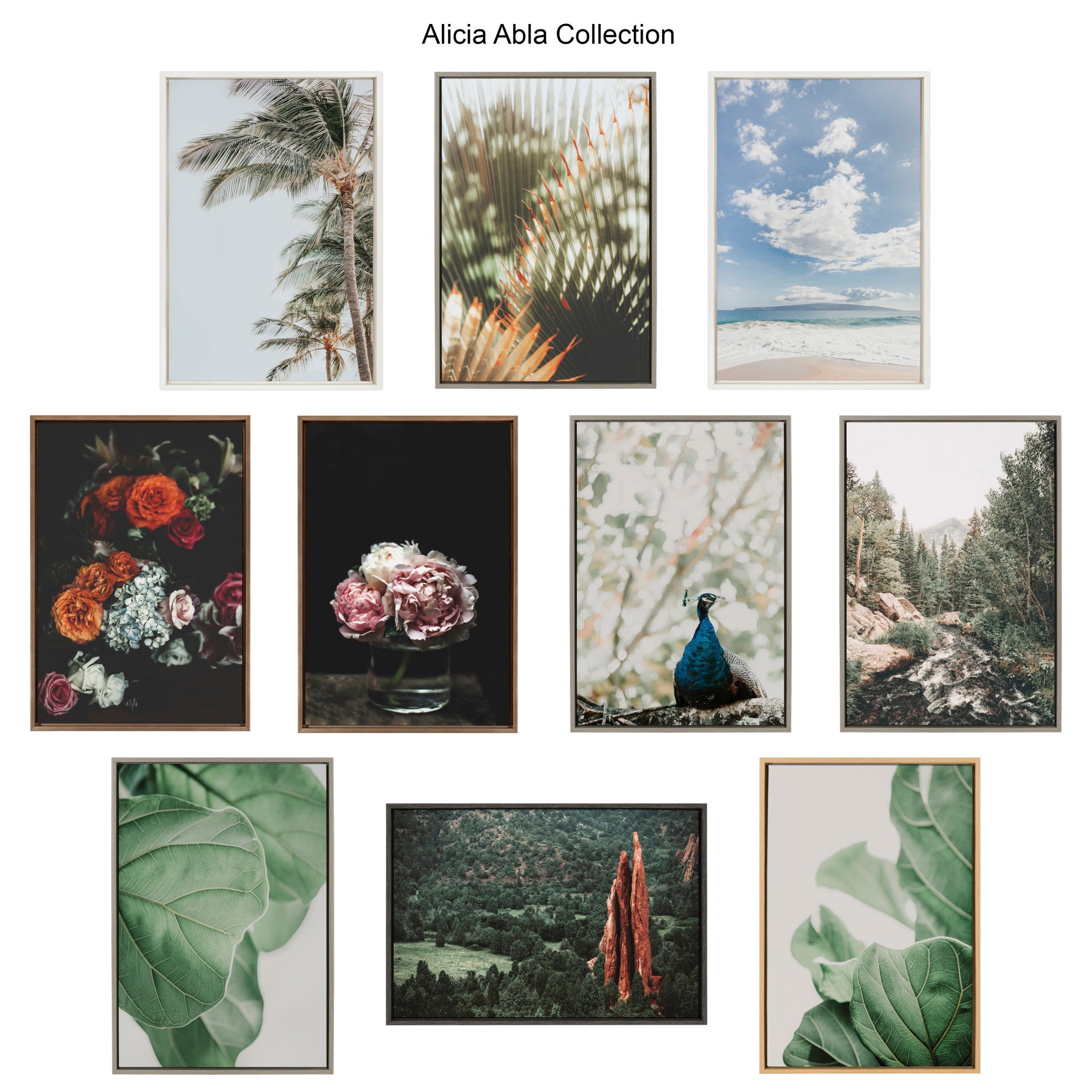 Sylvie Vintage Palms Framed Canvas by Alicia Abla