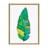 Sylvie Banana Leaf Framed Canvas by Viola Kreczmer