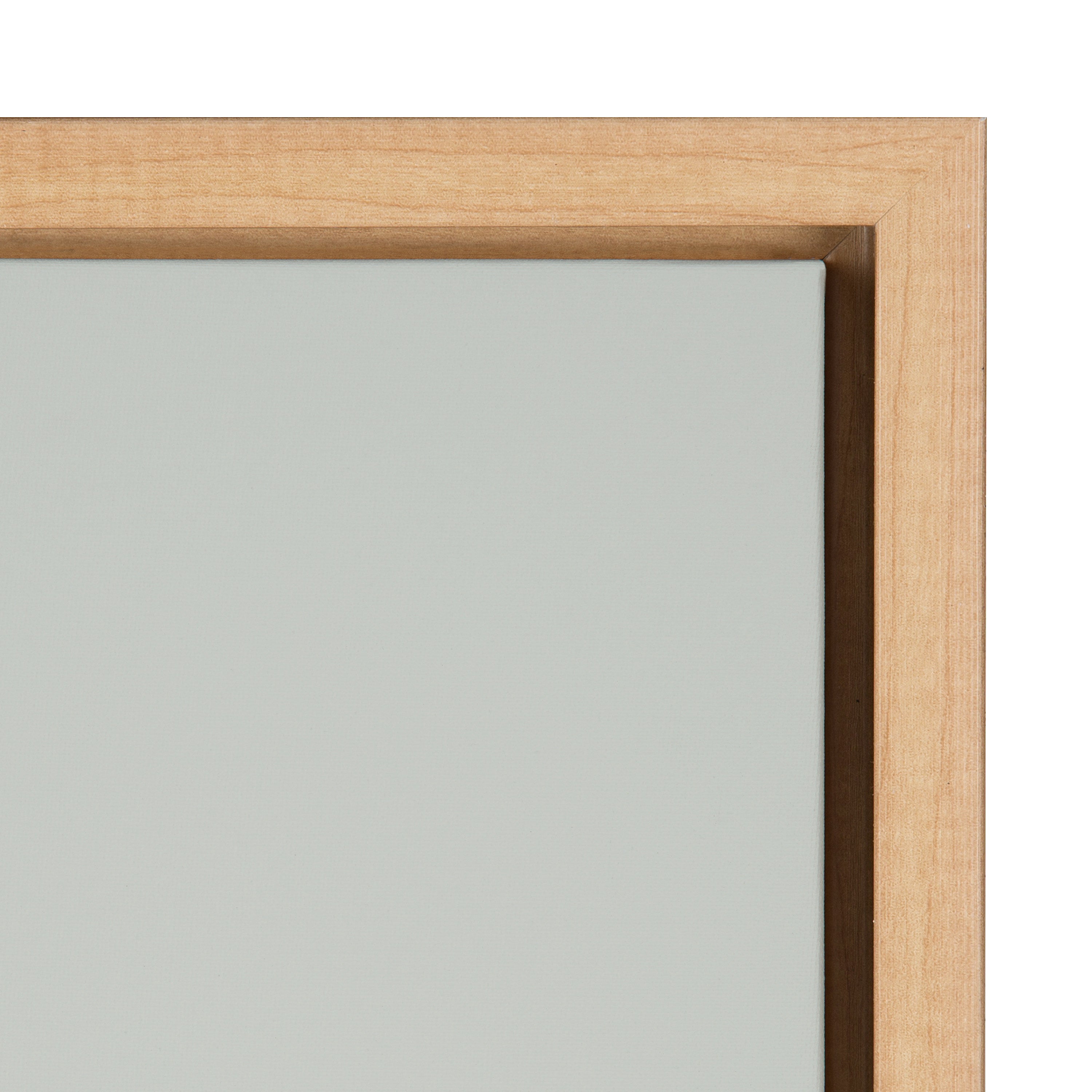 Sylvie Galah Framed Canvas by Rachel Lee of My Dream Wall