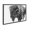 Sylvie Bison in Snow Black and White Framed Canvas by Amy Peterson Art Studio