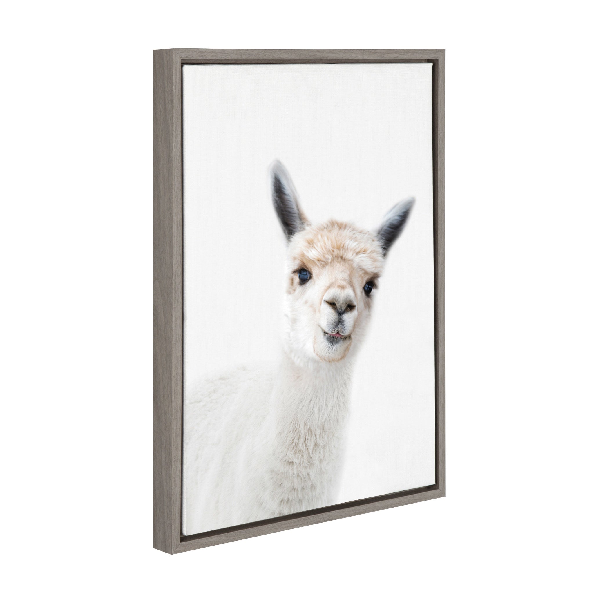 Sylvie Animal Studio Alpaca Framed Canvas by Amy Peterson Art Studio