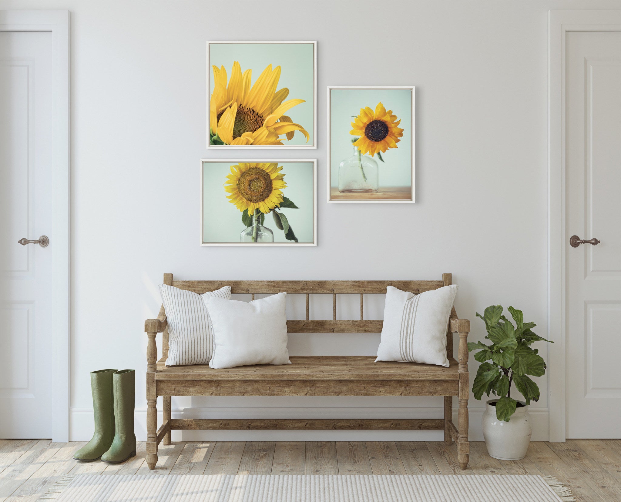 Sylvie Emerging Sunflower Framed Canvas by Emiko and Mark Franzen of F2Images