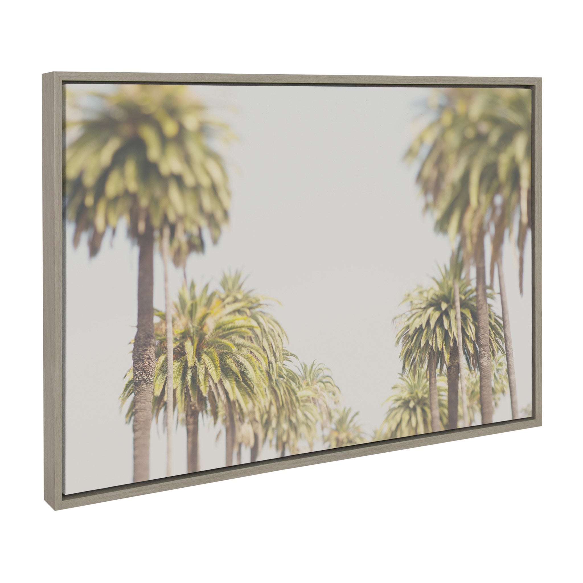 Sylvie LA California Palm Trees Framed Canvas by Laura Evans