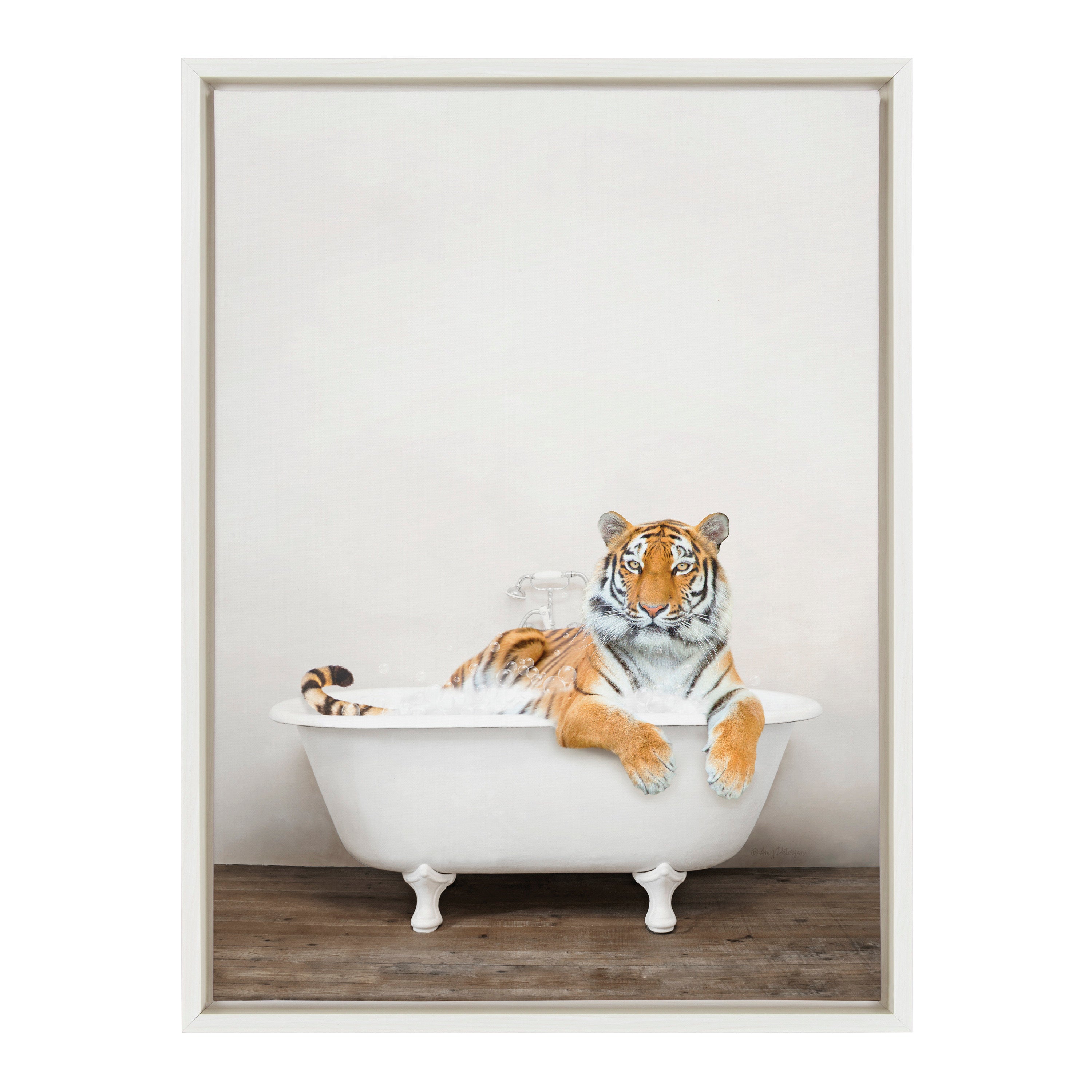 Sylvie Bengal Tiger in Rustic Bath Framed Canvas by Amy Peterson Art Studio