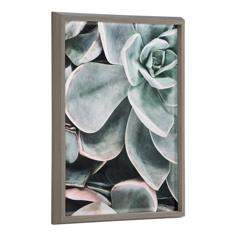 Blake Botanical Succulent Plants 2 Framed Printed Glass by The Creative Bunch Studio