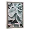 Blake Botanical Succulent Plants 2 Framed Printed Glass by The Creative Bunch Studio
