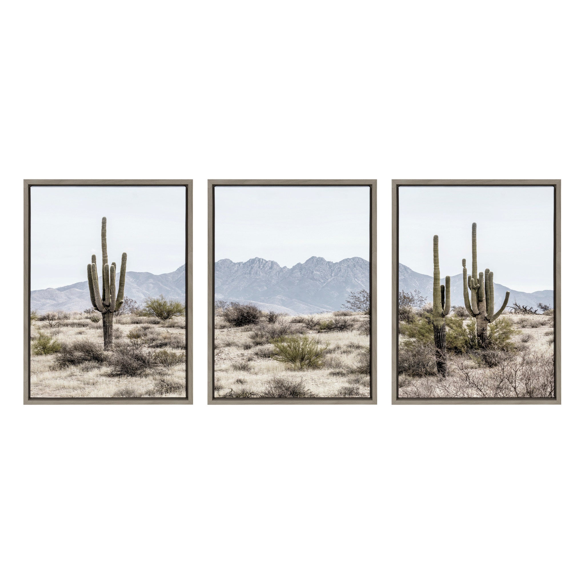 Sylvie Tall Saguaro Cacti Desert Mountain Left, Middle and Right Framed Canvas by The Creative Bunch Studio