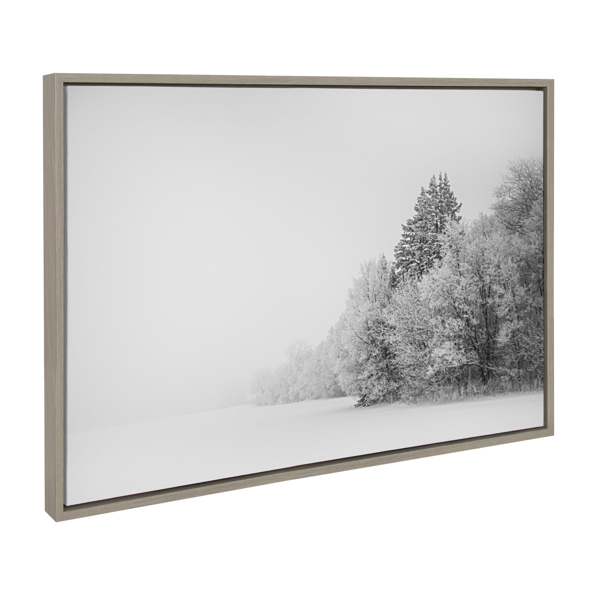 Sylvie Black and White Snow Day Framed Canvas by Emiko and Mark Franzen of F2Images