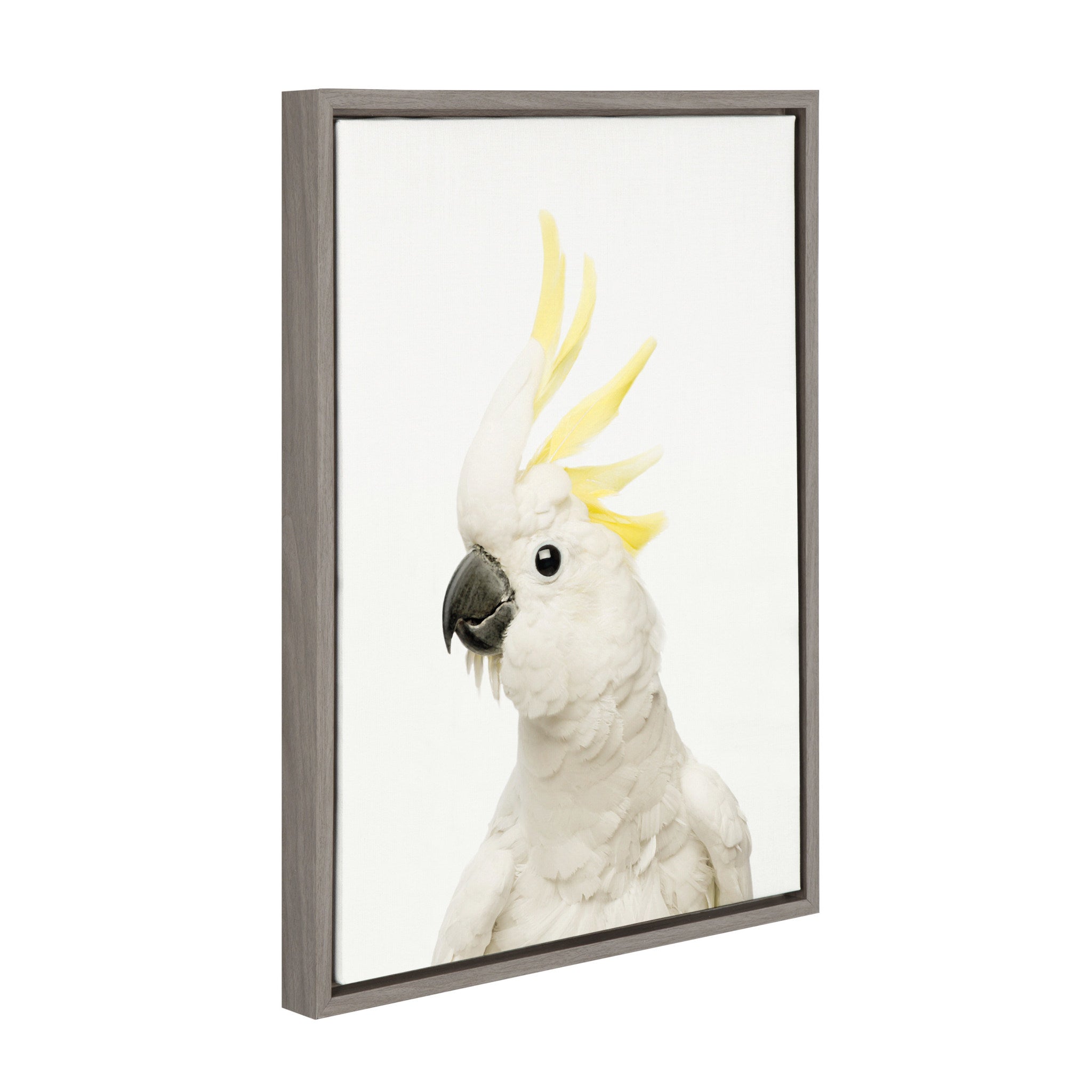 Sylvie Animal Studio Bird Framed Canvas by Amy Peterson Art Studio
