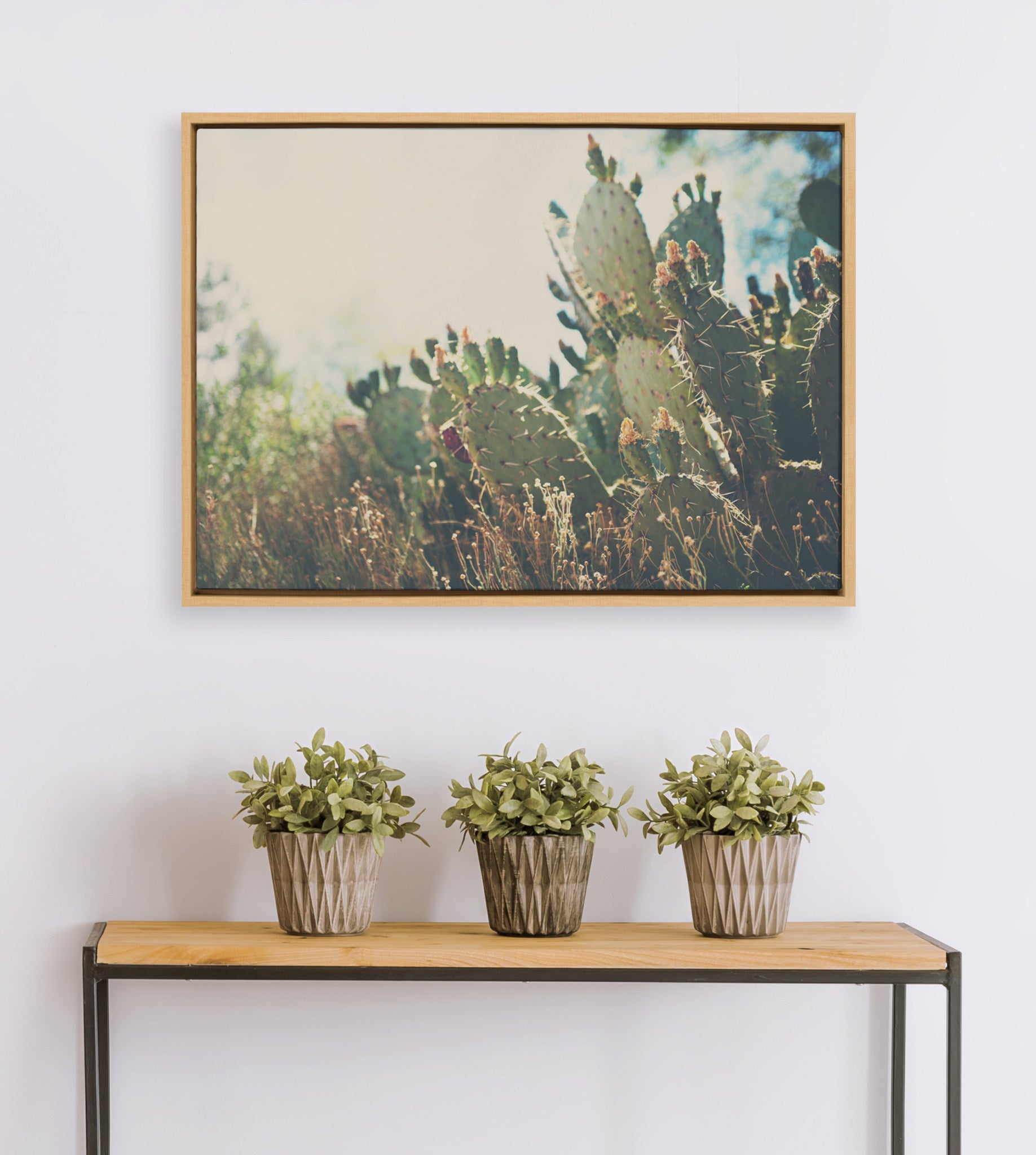Sylvie A Desert Prickly Pear Cactus Framed Canvas by Laura Evans