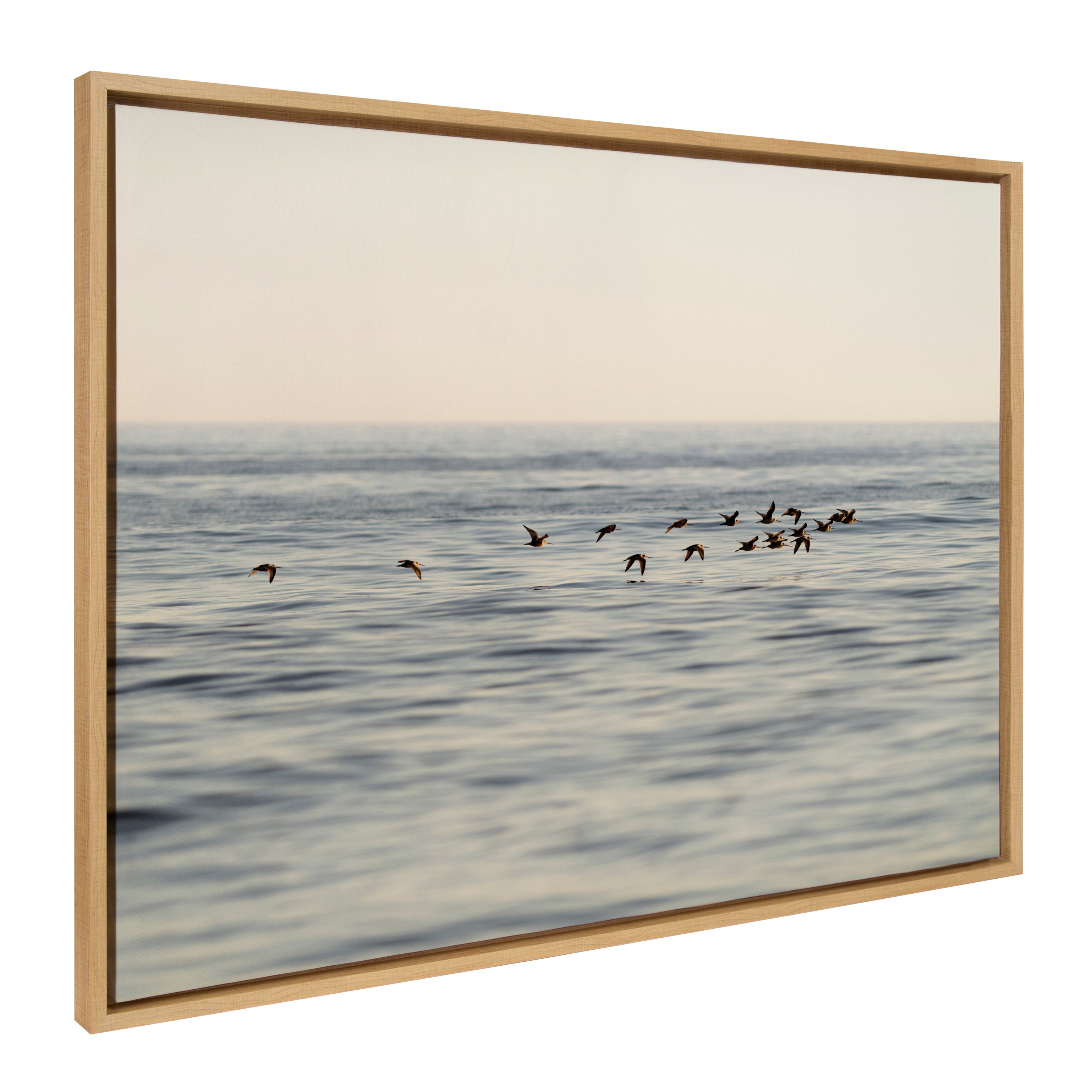 Sylvie Birds of a Feather Framed Canvas by Crystal Lynn Collins