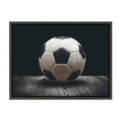 Sylvie Soccer Ball Framed Canvas by Shawn St. Peter