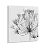 Bell Agapanthus X Ray Floral Floating Acrylic Art by The Creative Bunch Studio