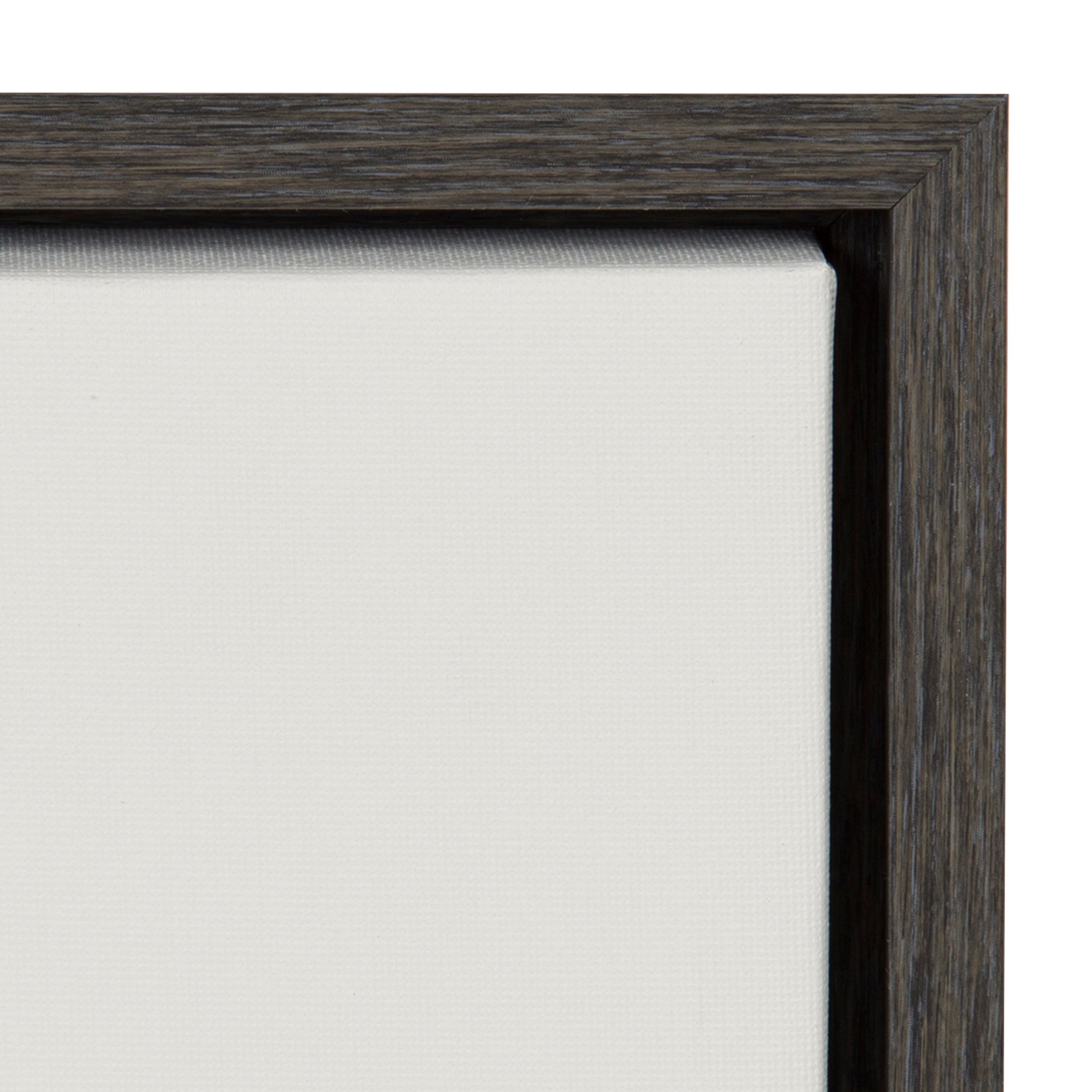 Sylvie Haze Agave Succulent Framed Canvas by The Creative Bunch Studio
