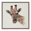 Sylvie Giraffe Framed Canvas by Ron Dunn, Gray 22x22