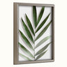 Blake Botanical 5F Framed Printed Glass by Amy Peterson