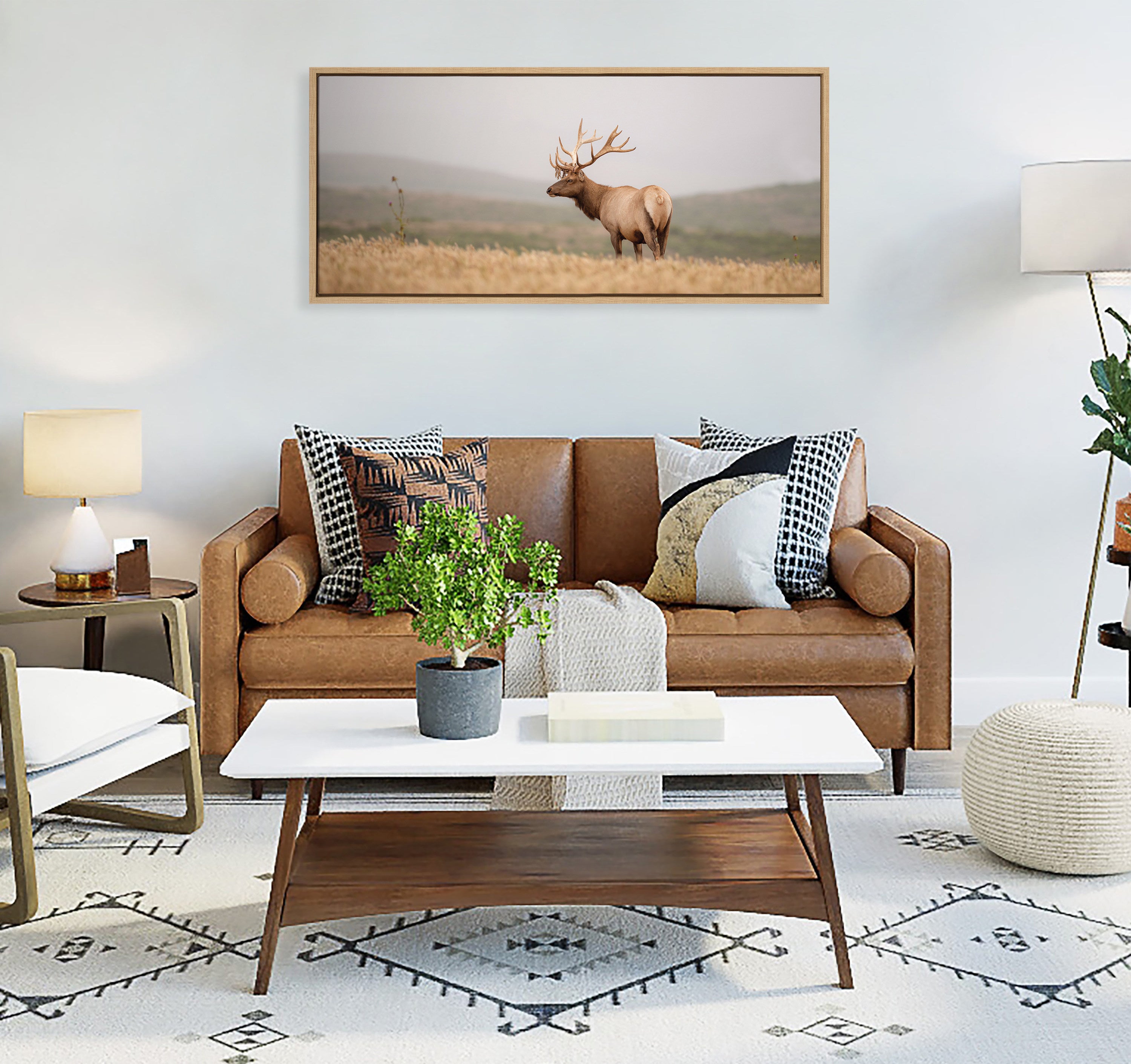 Sylvie Tule Elk No 3 Framed Canvas by Crystal Lynn Collins