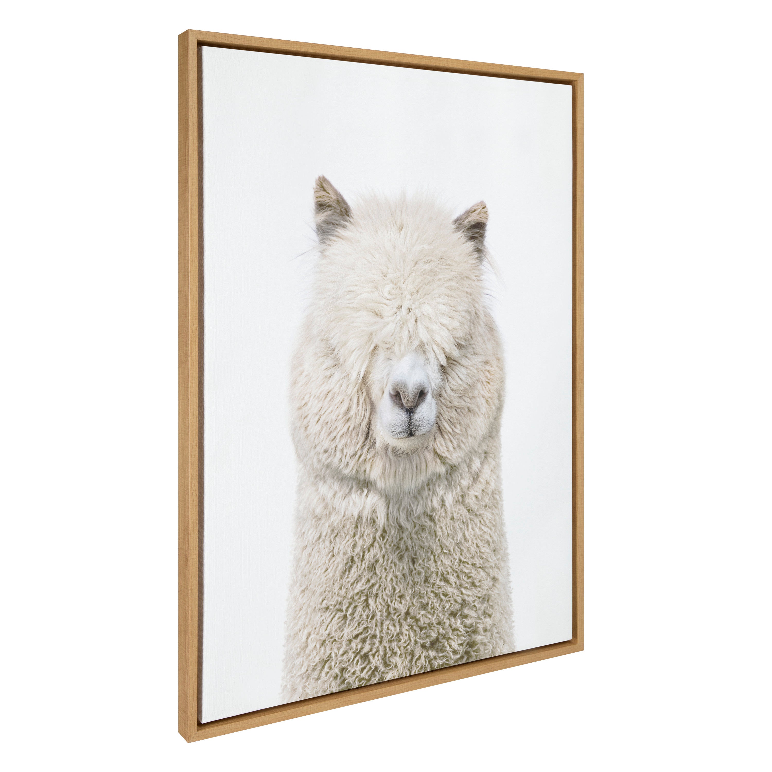 Sylvie Alpaca Fluff Framed Canvas by Amy Peterson Art Studio