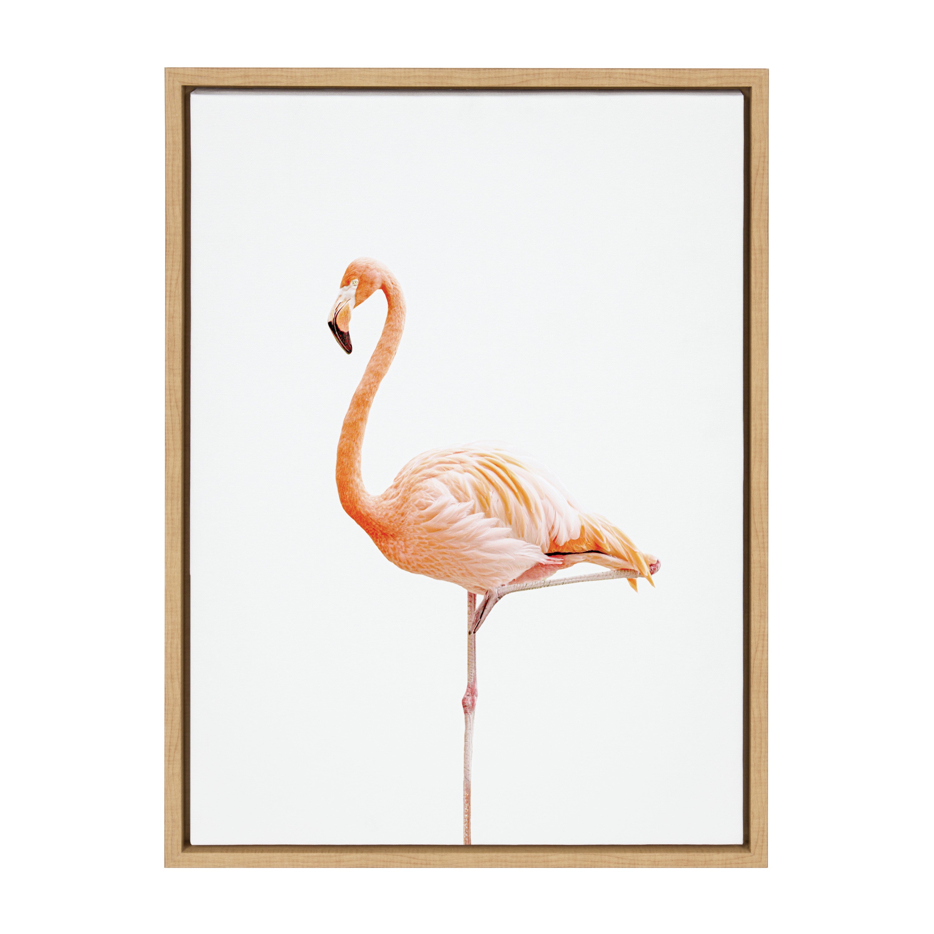 Sylvie Flamingo Standing Framed Canvas by Amy Peterson Art Studio