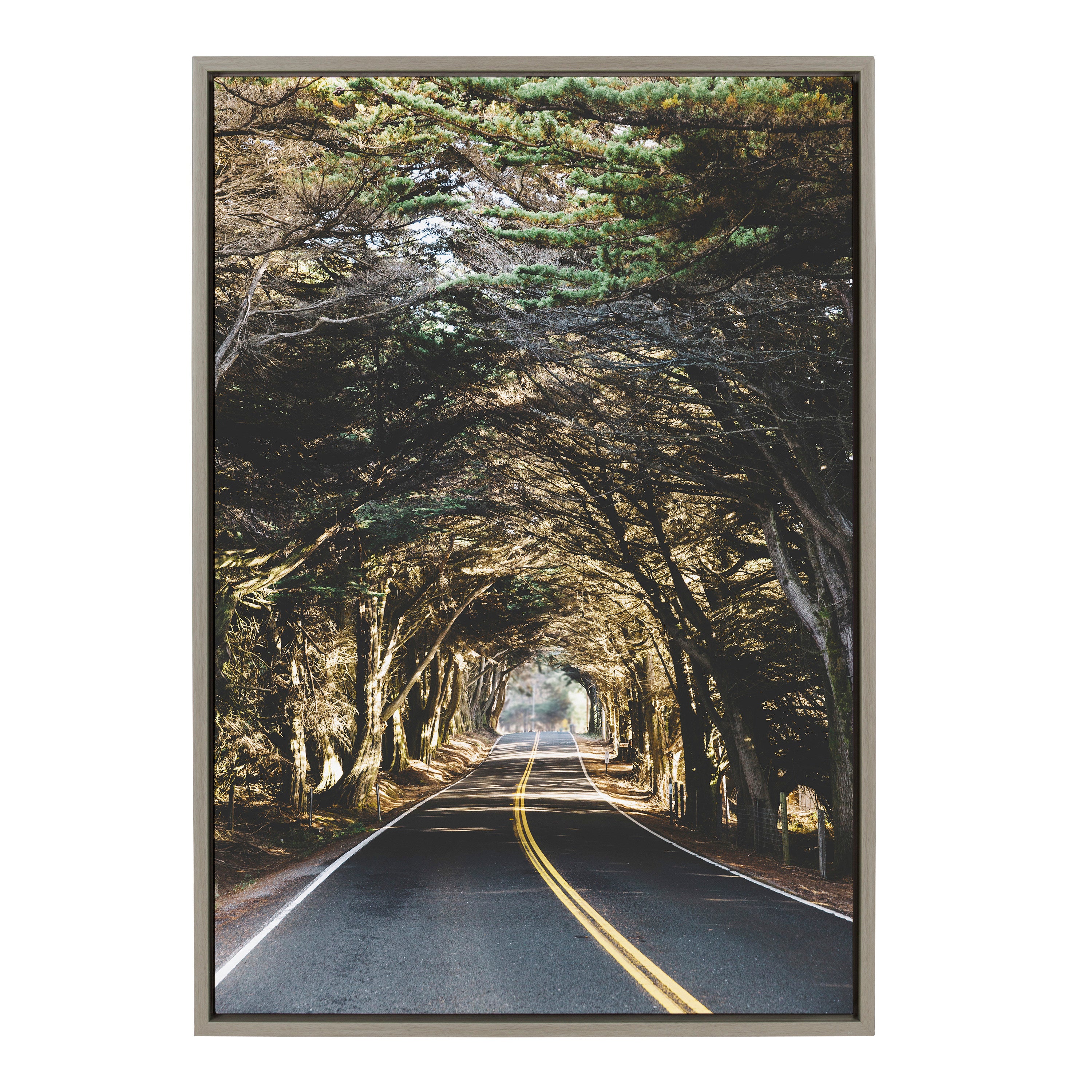 Sylvie Road Tripping Framed Canvas by Patricia Hasz of Patricia Rae Photography