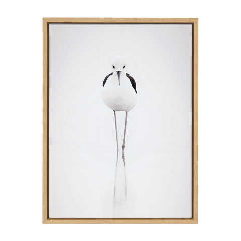 Sylvie Seagull Framed Canvas by Tai Prints